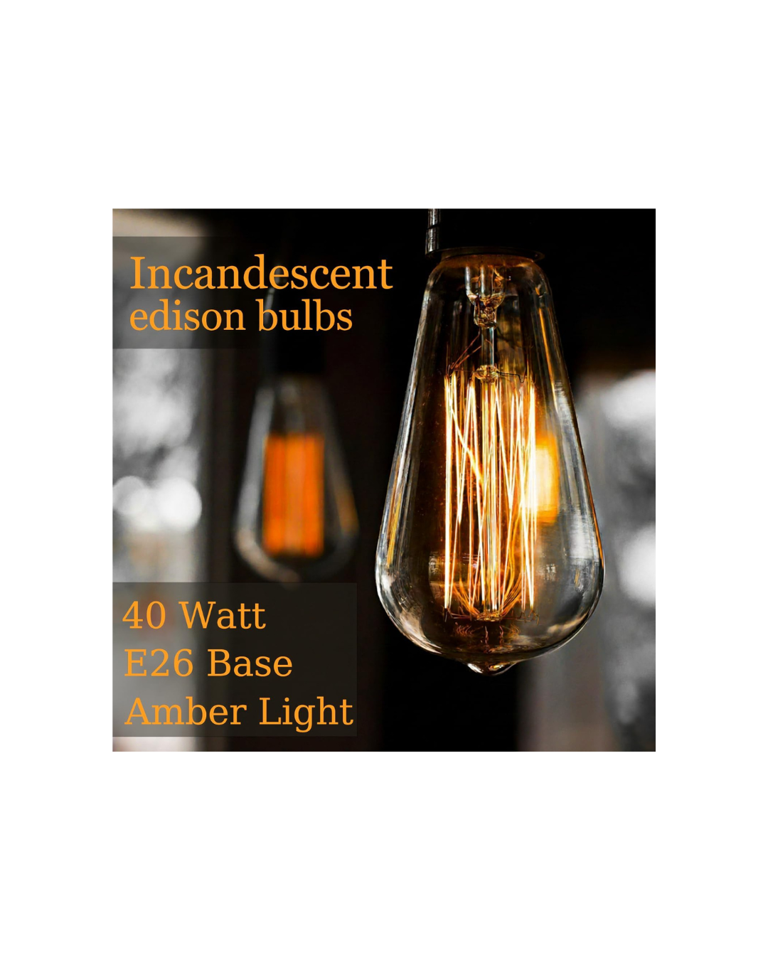 Edison Bulbs Vintage Incandescent Light Bulbs