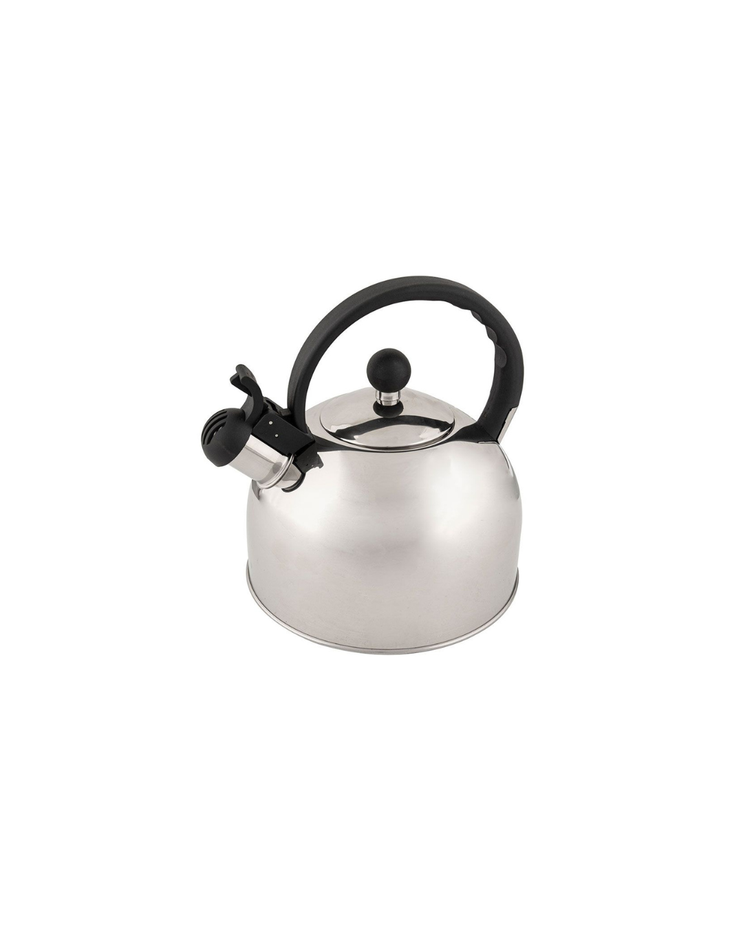 Stainless Steel Stovetop Kettle