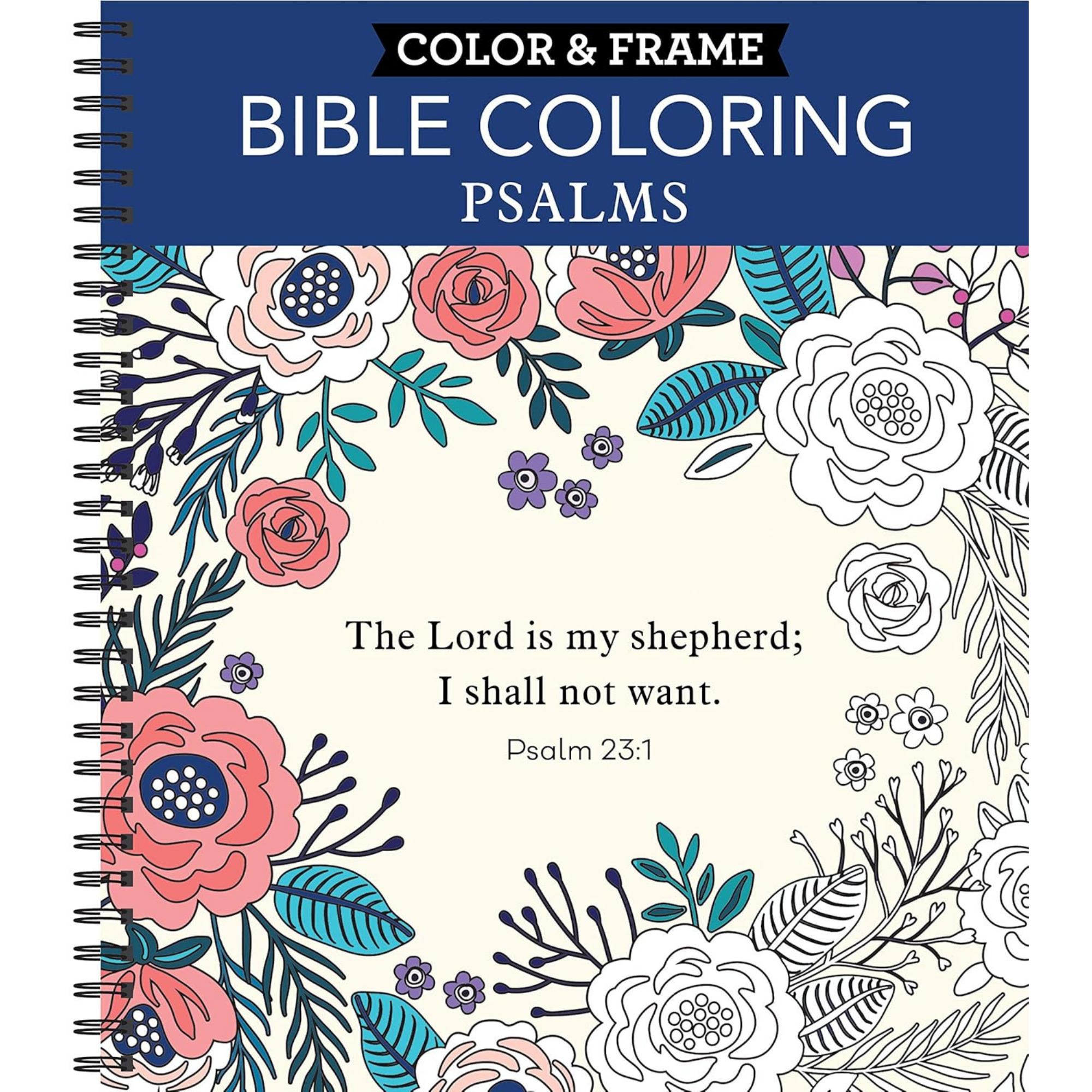 Bible: Psalms Adult Coloring Book