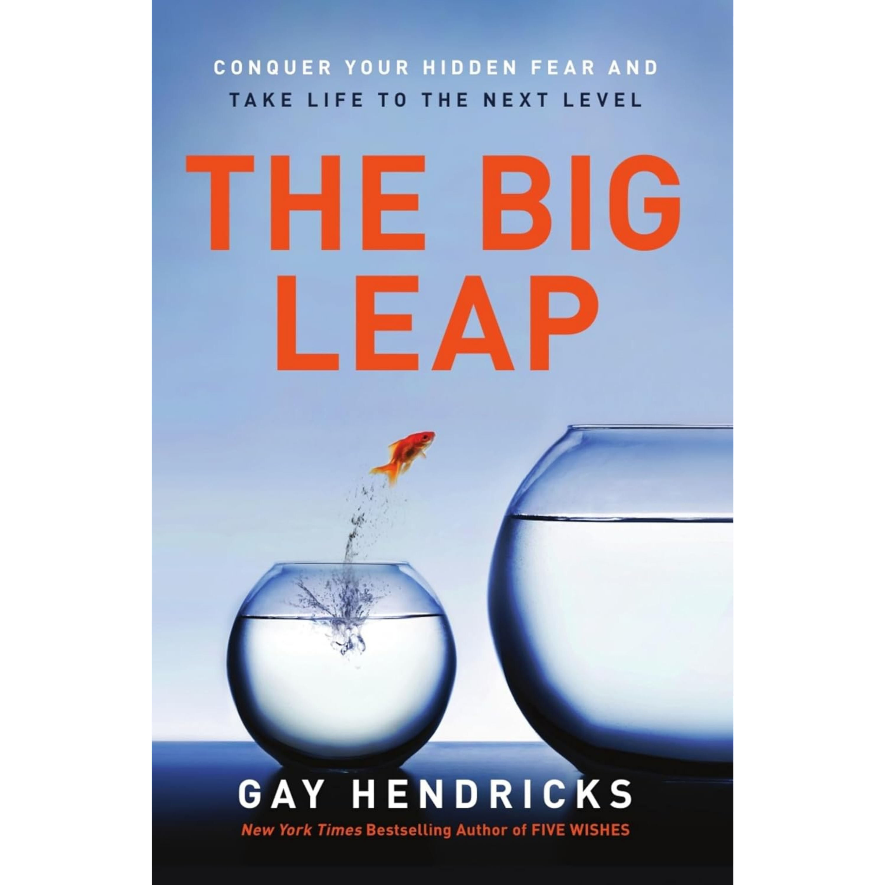 The Big Leap Book