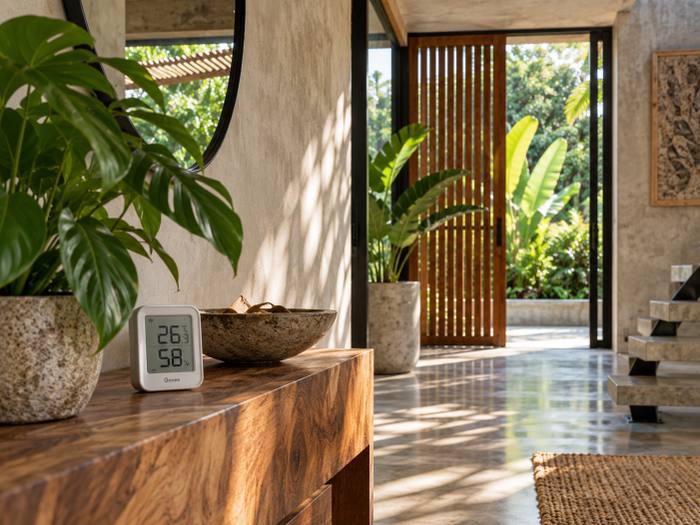 Mold in Costa Rica: How to Prevent It Before It Starts